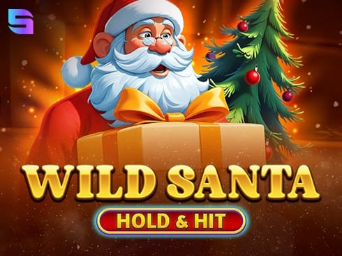 وائلڈ سانٹا - ہولڈ اینڈ ہٹ game thumbnail