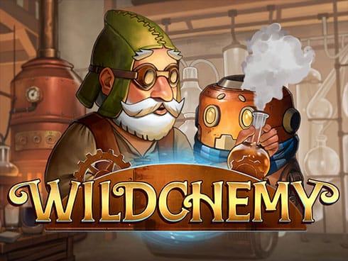وائلڈ کیمی game thumbnail